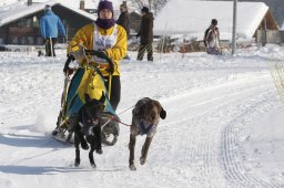 Lenk 2012 SM